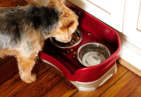 Mess Proof Pet Feeder Sharper Image