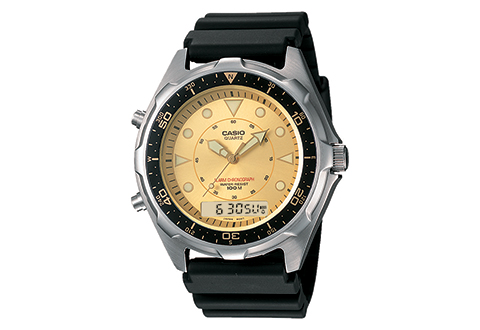 casio watch dual display